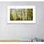 Glittering Trees Print by Geoffrey Baris-48618021-48618024