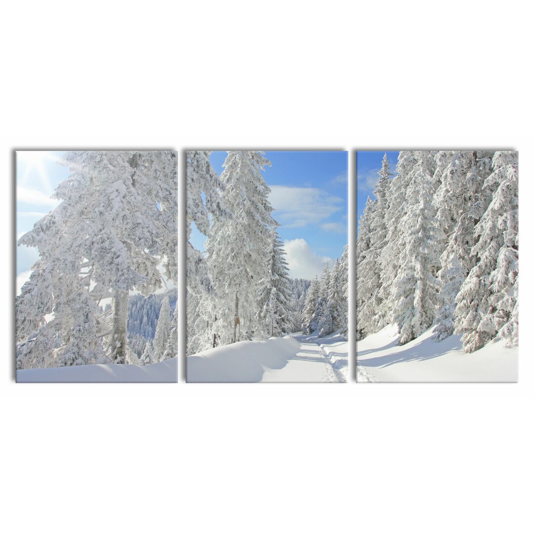 3-tlg. Leinwandbilder-Set Trees in a Winter Landscape