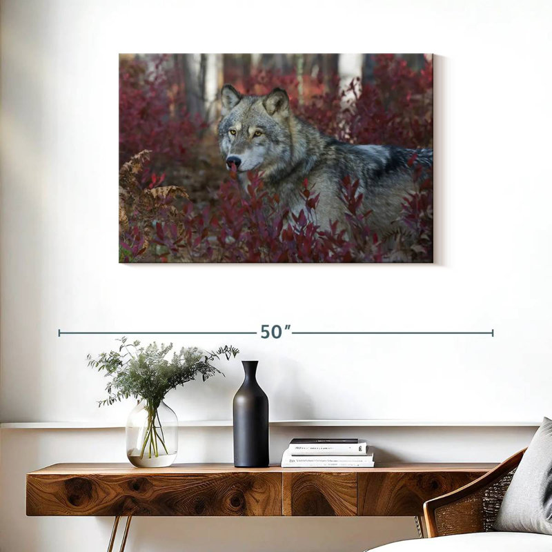 Loup gris Brampt, H 24 po x l 36 po