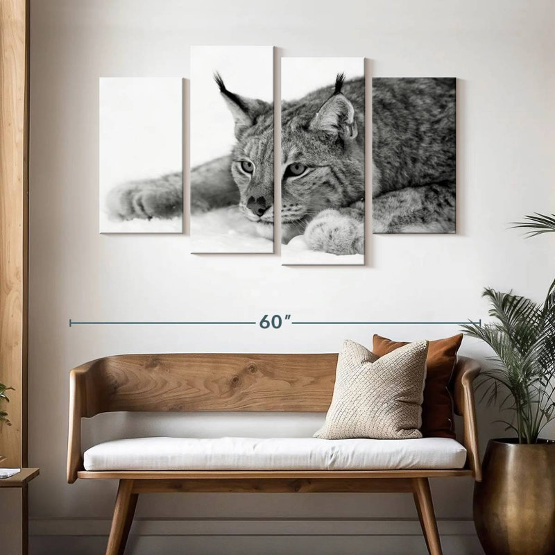 Brampt Lynx BW, 32" H x 52" W