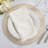 Sabrina Design 20" Cotton Napkin-1870134443