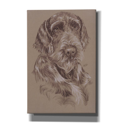 «Kemyra German Wirehaired Pointer» par Barbara Keith