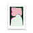 No Framed is unavailable