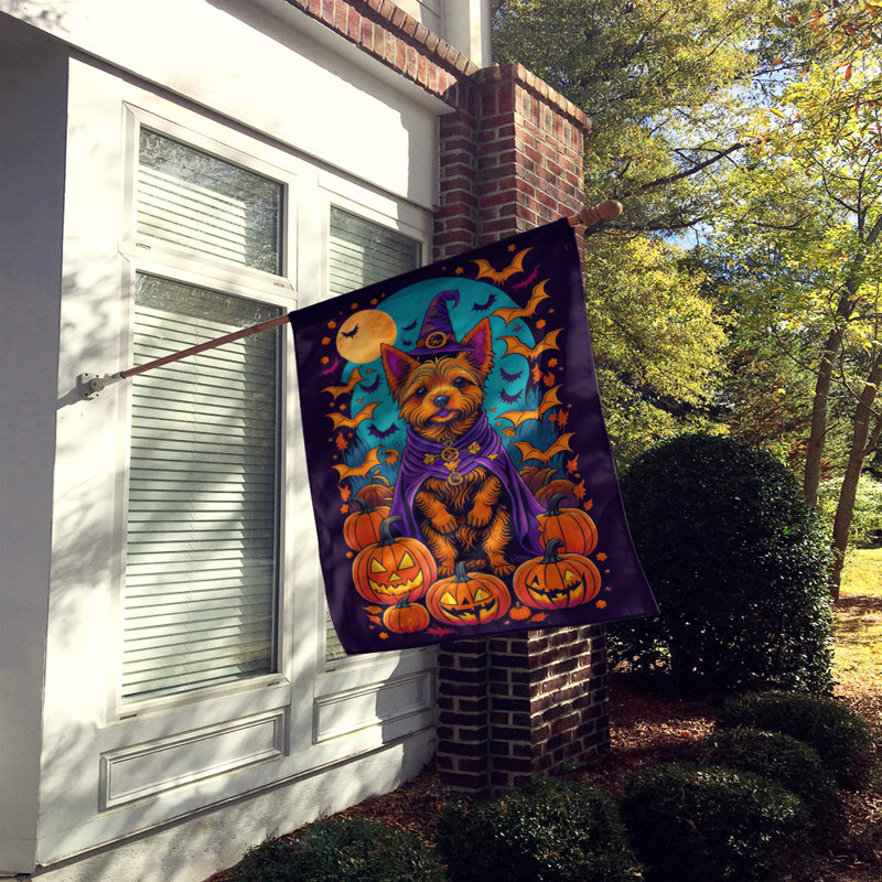 Jakameron double face, 40 po x 28 po