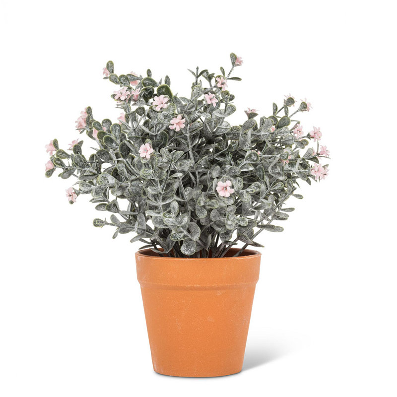 Arrangement en pot