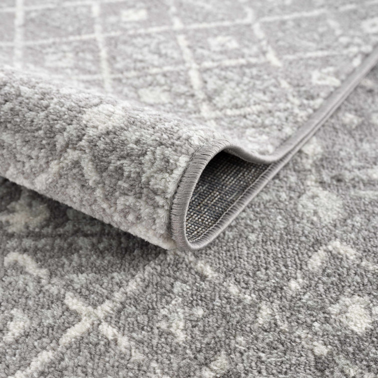 Aleiza Southwestern Indoor Rug