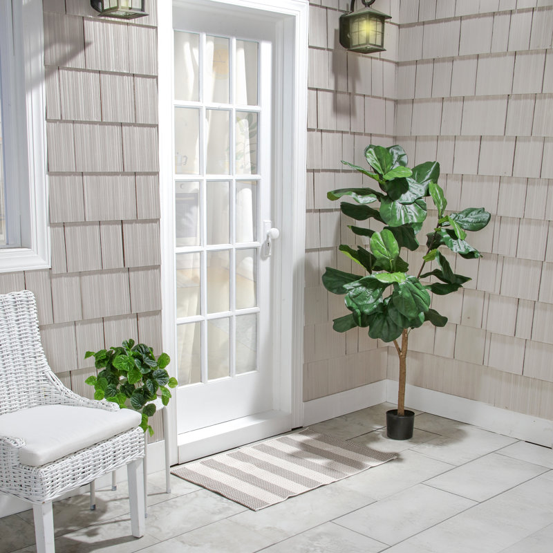 5' UV Potted Fiddle Leaf Fig Tree