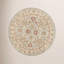 Antiquity Wool Oriental Area Rug in Gray Blue / Beige-703699990