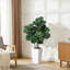 Plant-986871591