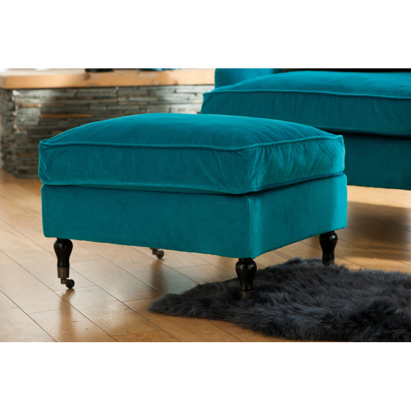 Dooley Novelty 60 cm x 90 cm Area Rug