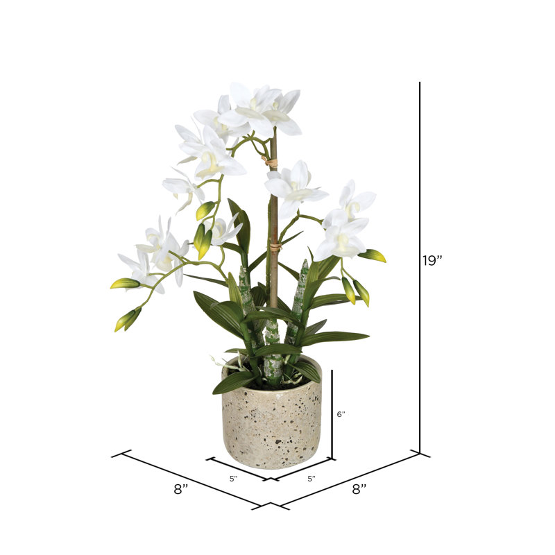 Orchidée artificielle 19 po Deluxe, Blanc