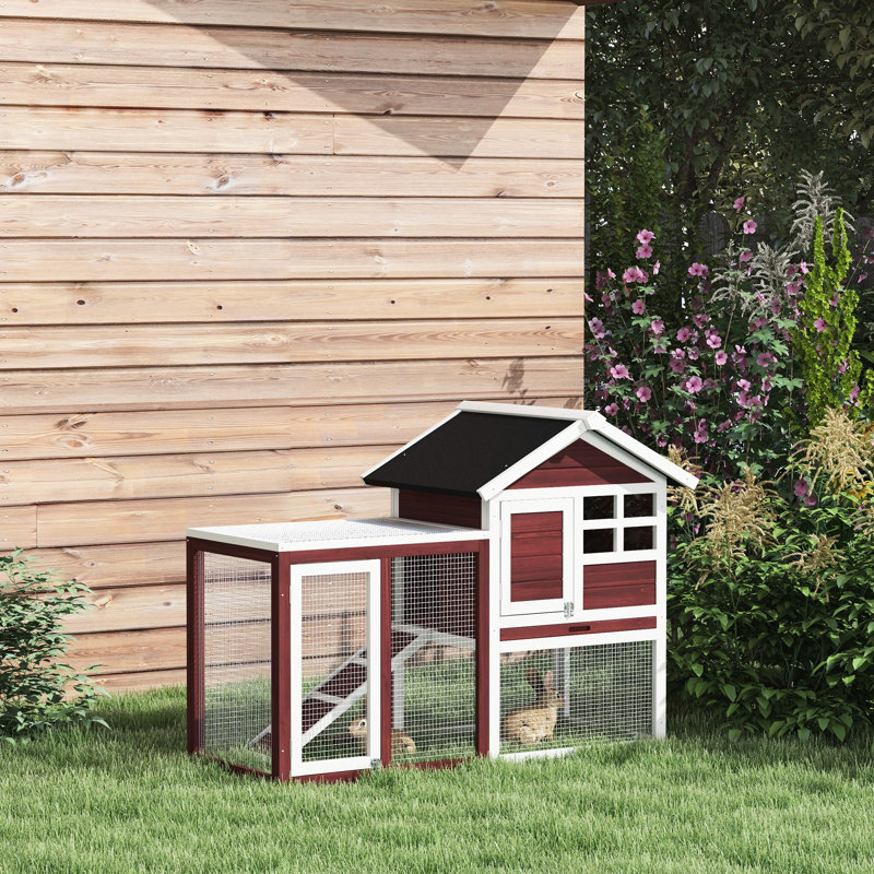 Hutte de 48 po avec toit en asphalte - construction, plateau amovible, offre une maison confortable pour une cage solide et stable, un séjour paisible
