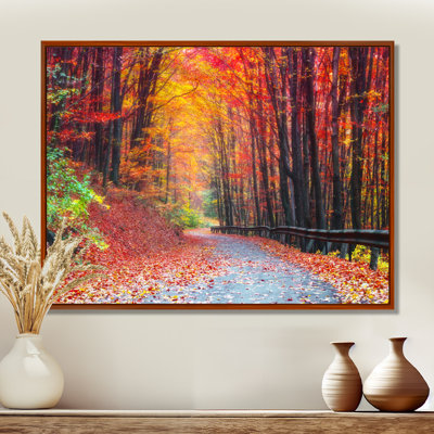 Autumn forest Canvas print - Road In Beautiful Autumn Forest Photograph Print