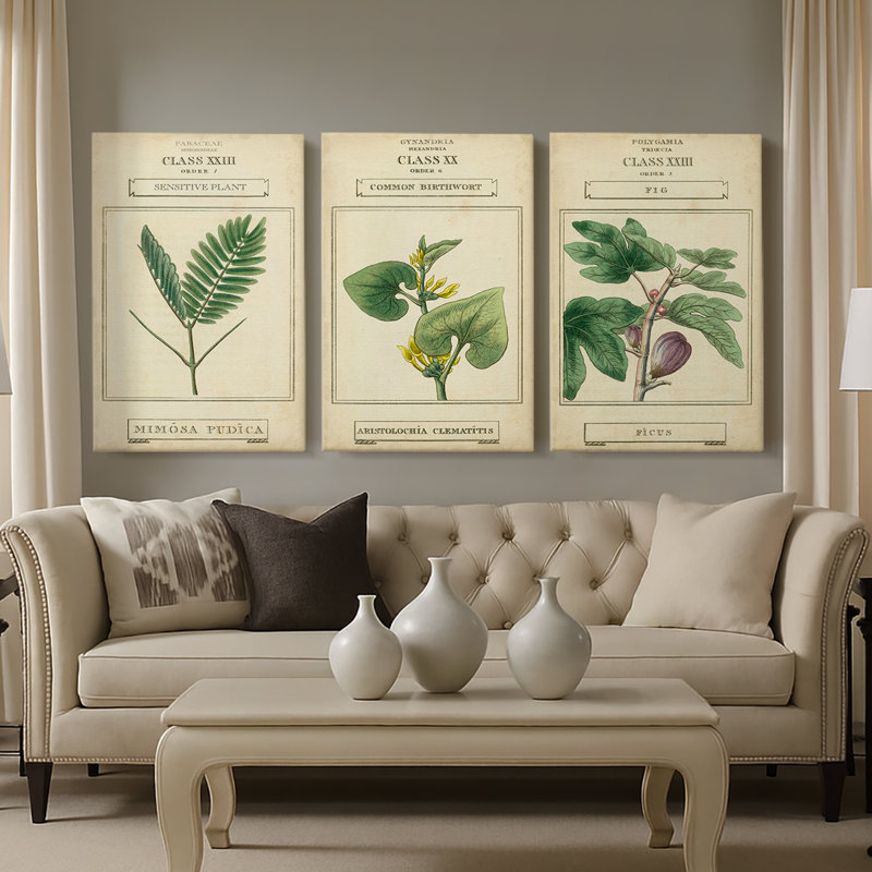 Linnaean Botany IV - Toile tendue sur mesure avec châssis - 3 pièces, H 60 po x l 120 po