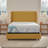 Sealy Dreamlife 3” Medium-Soft Gel Memory Foam Mattress Topper + 1” Quilted Cooling Cover-99280927