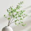 Meadowood Japanese Dodan Branch 50"