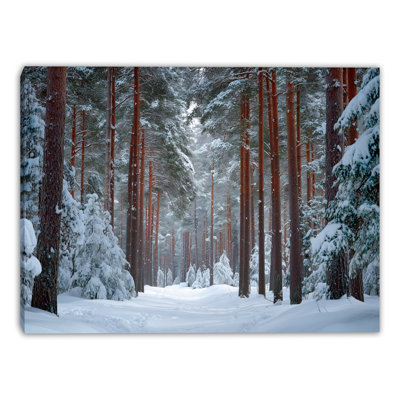 «Silent Pines Winter Trail», art mural sur toile tendue