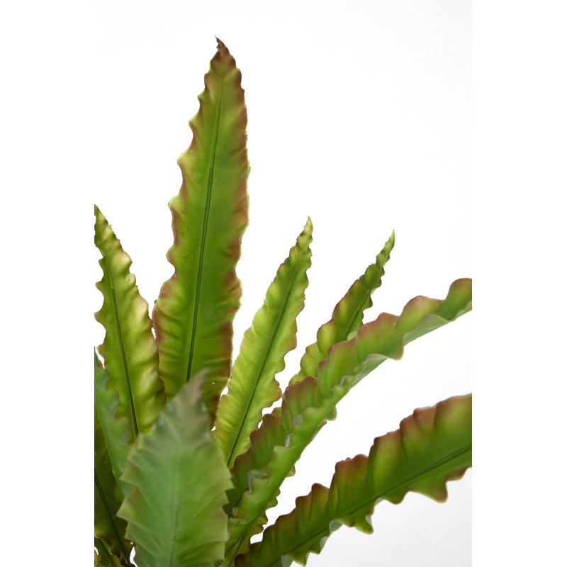 52'' Faux Palm Tree in Fiberstone Planter