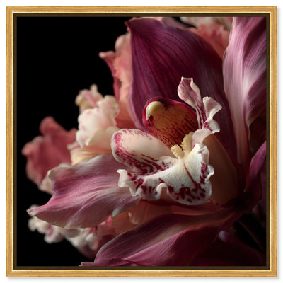 Velvet Labellum Graphic Art Canvas