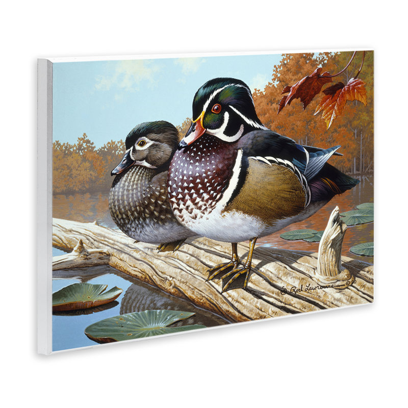 "Duck pair on Driftwood", art mural par Rod Lawrence, H 13 po x l 19 po