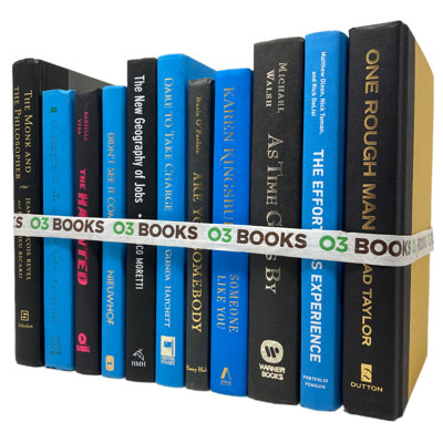 Livres décoratifs Midnight Sky noir et bleu
