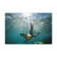 No Frame Print on Canvas-886292954