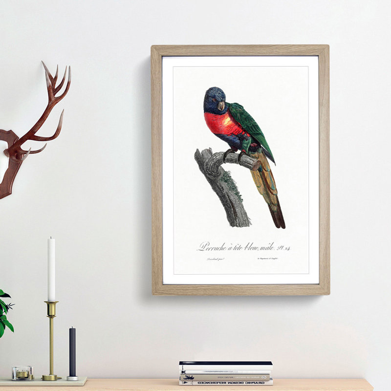 The Plum-Headed Parakeet by F. Levaillant - Picture Frame Painting Print, 48cm H x 36cm W x 2cm D, Oak Framed