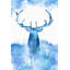 Blue Moose - Wrapped Canvas Print-20133735