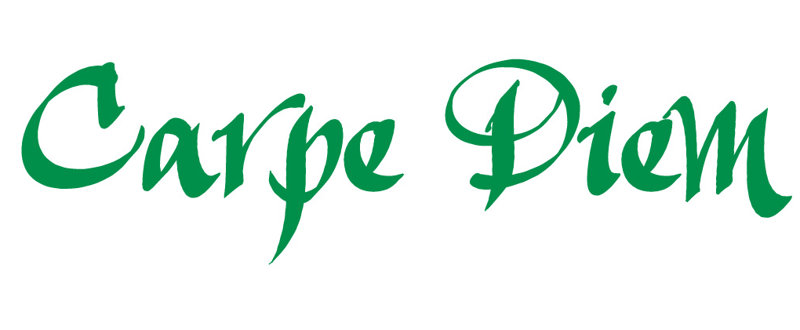 Décalcomanie murale indemnités journalières carpe diem, H 9,5 po x l 36 po x P 0,01 po, Vert clair