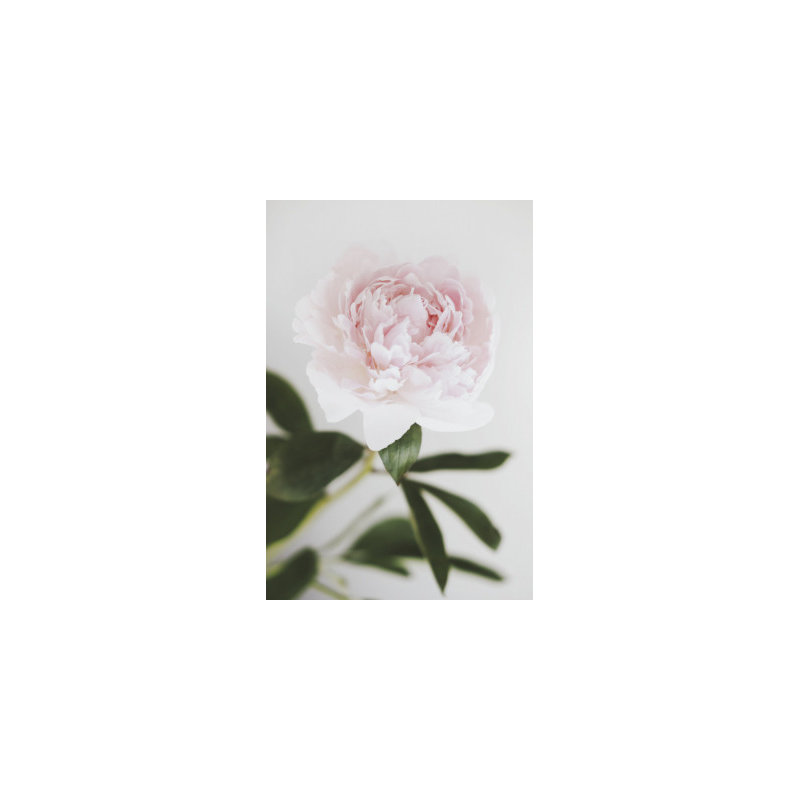 Wrapped Canvas Print, 60.96 cm H x 91.44 cm W