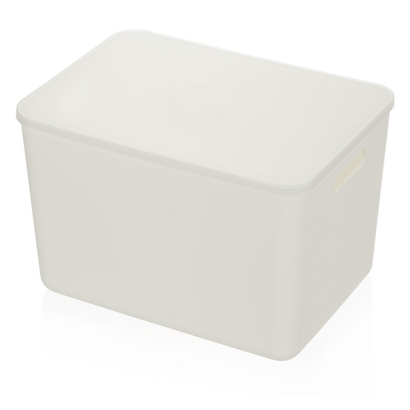 Bac en plastique, H 9,5 po x l 10,25 po x P 14,25 po, 1