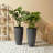 Staebell Tapered Planter-323520582-361631838