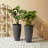Staebell Tapered Planter-361631776-361631838