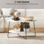 Coffee Table with Storage