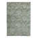 Aidy 1244 Transitional Abstract Green Area Rug