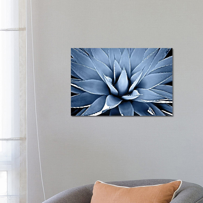 Indigo Succulent III by Mia Jensen - Wrapped Canvas Print, 101.6 cm H x 66.04 cm W x 1.91 cm D