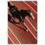 Velocity Vector Print by Oliver Gal-1991820133-1991820137
