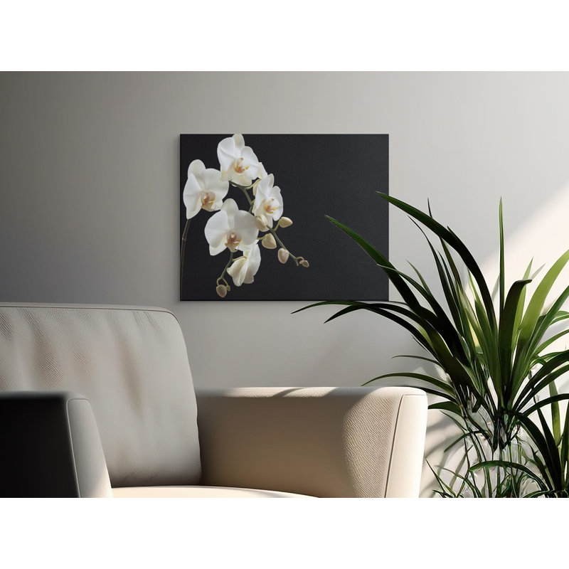 Schoenfeld Wrapped Canvas Print Set, 30x15