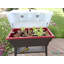 Planter-57370194-57370189