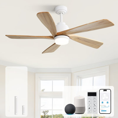Damecia 52'' Ceiling Fan with LED Lights