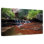 Alvord Zion Plateau The Subway Waterfall