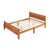 Oak is out of stock selected