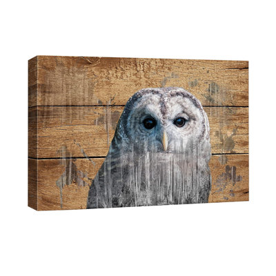 1 Piece Wrapped Canvas Wall Art