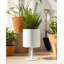 Wanderer Metal Planter on Base - Contemporary Round Iron Planter on Flat Round Base in Classic White - Indoor or Outdoor Decor-1206325670-1206325669