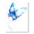 Toile tendue