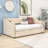 Twin Velvet Daybed with Pop-Up Twin Trundle-992191071