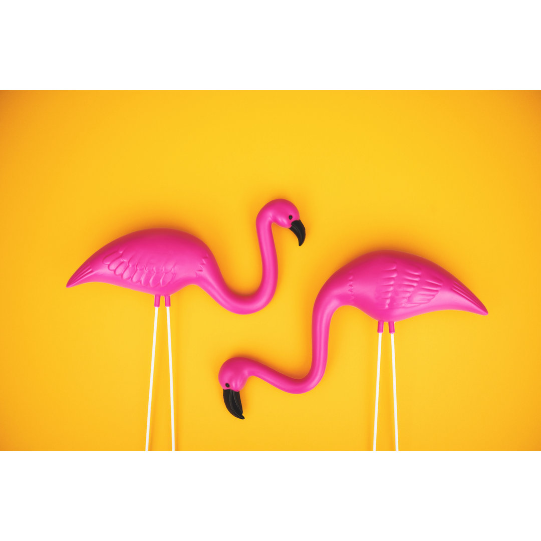 Plastik Flamingo von CatLane - Kunstdrucke auf Leinwand ohne Rahmen