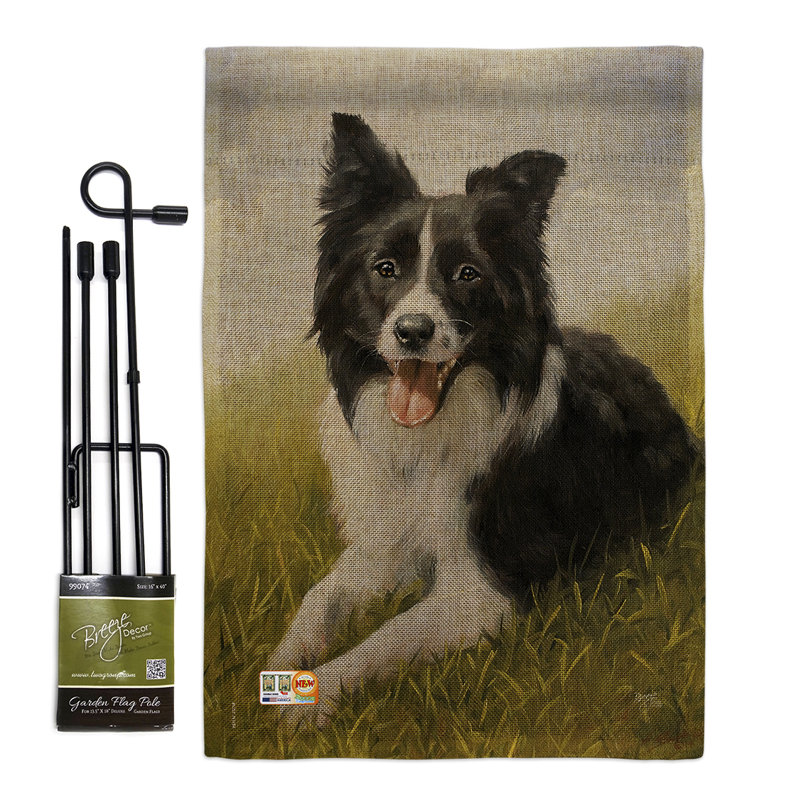 Collie de polyester de 2 côtés 19 x 13 po border drapeau de jardin