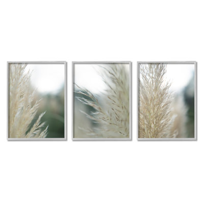 " Breezy Pampas Tall Grass " by Jason Johnson 3 - Pieces