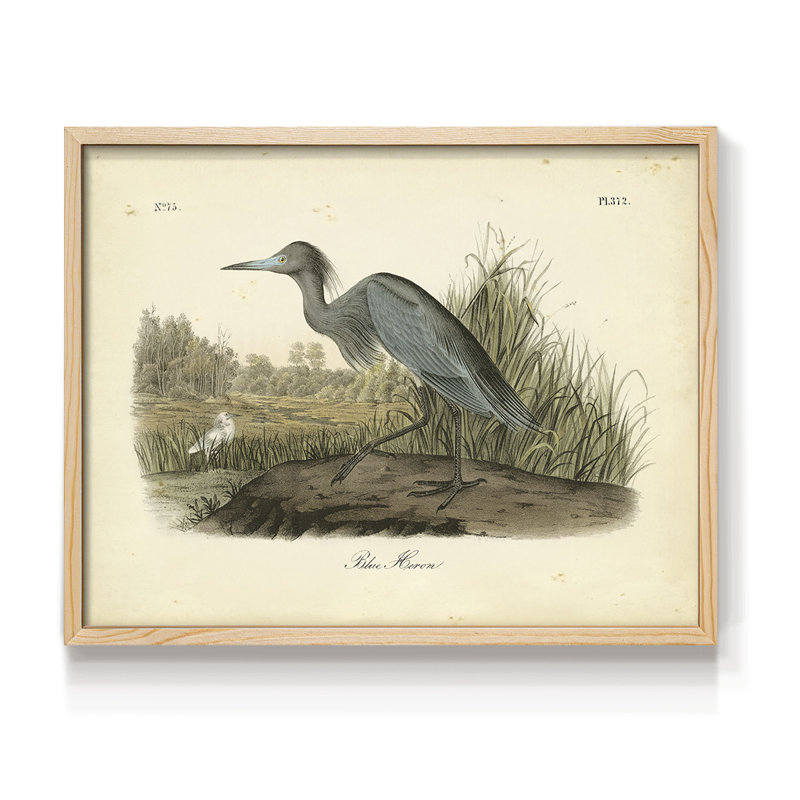 Audubons Blue Heron - reproduction encadrée - réarmable, Naturel, H 11 po x l 14 po